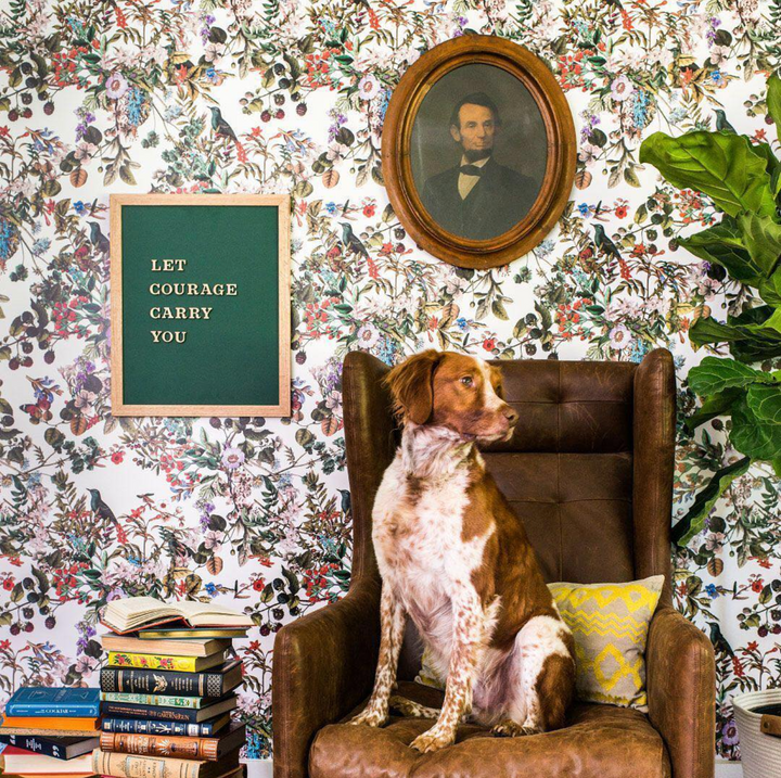 Vintage Botanical Wildflowers - Studio Exclusive