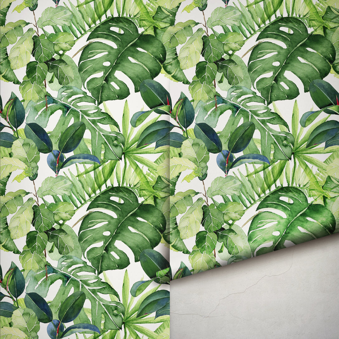 Follaje de la selva tropical