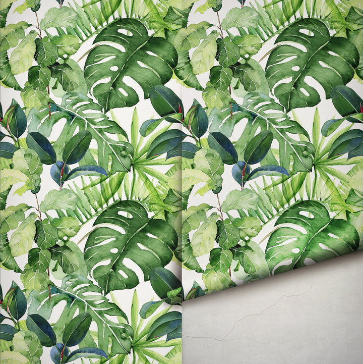 Follaje de la selva tropical