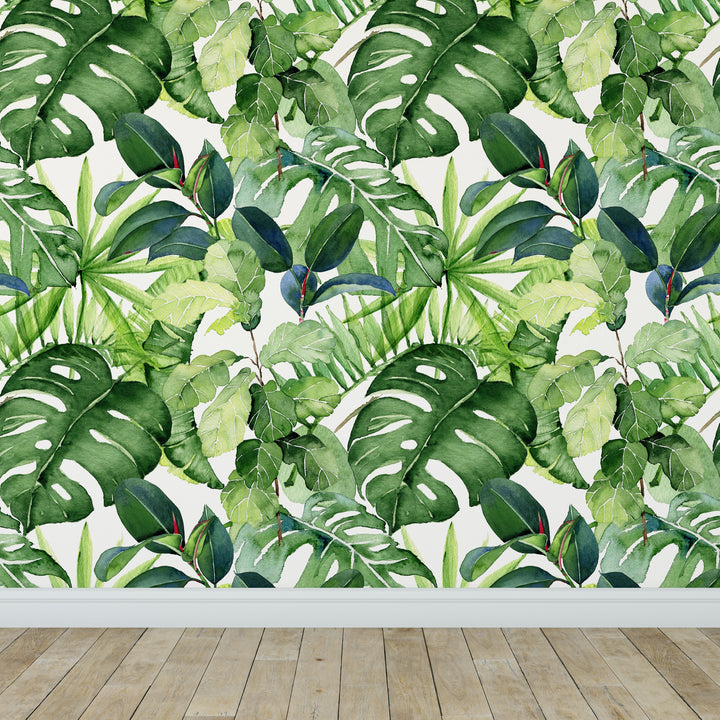 Follaje de la selva tropical