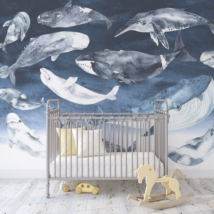 Whale Wallpaper Mural