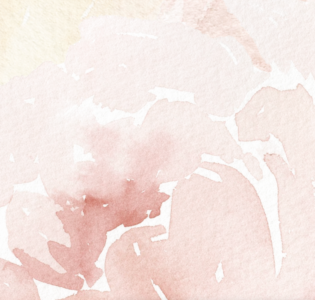 Soft Blush Watercolor Peony Mural